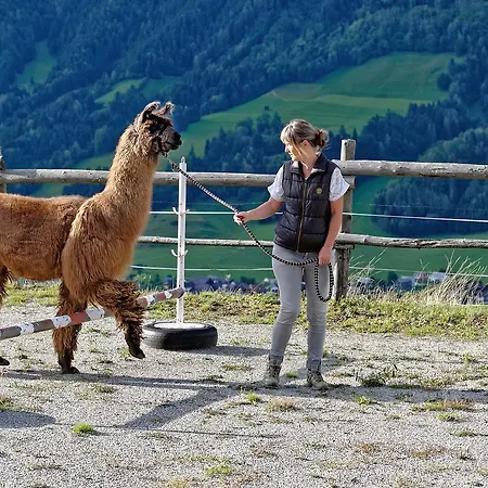 Gospodarstwo agroturystyczne Klausnerhof *