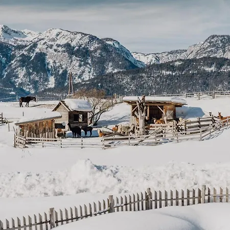 Klausnerhof Gospodarstwo agroturystyczne *