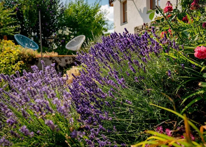 Klausnerhof * Aich (Styria)