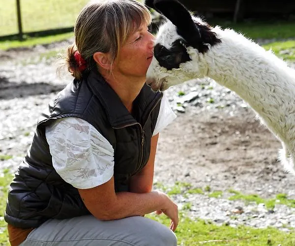 Klausnerhof * Aich (Styria)