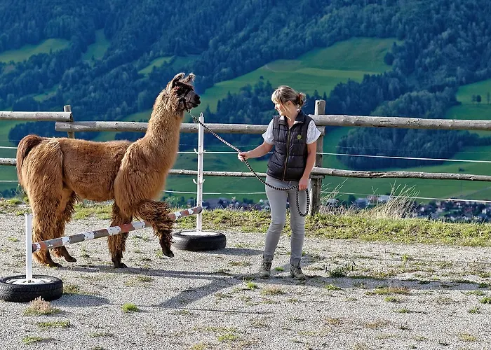 Vakantieboerderij Klausnerhof *