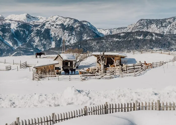 Klausnerhof Vakantieboerderij *
