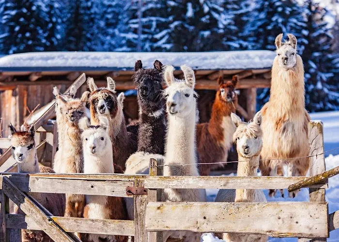 Klausnerhof Vakantieboerderij *